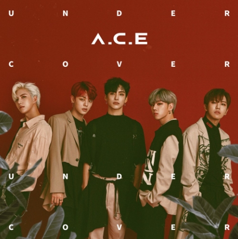 A.C.E 1st CONCERT ［UNDER COVER : AREA NO.1 KOREA］チケット代行